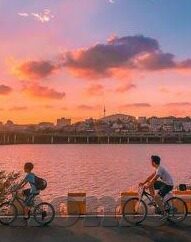 世界杯彩票平手怎么办-世界杯彩票平手，策略调整与心态管理