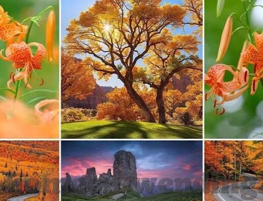 炸金花搞笑图-炸金花搞笑图，欢乐中的智慧与幽默